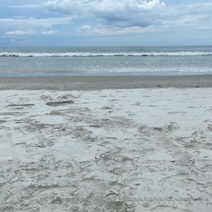 Meet your Posher, Kady